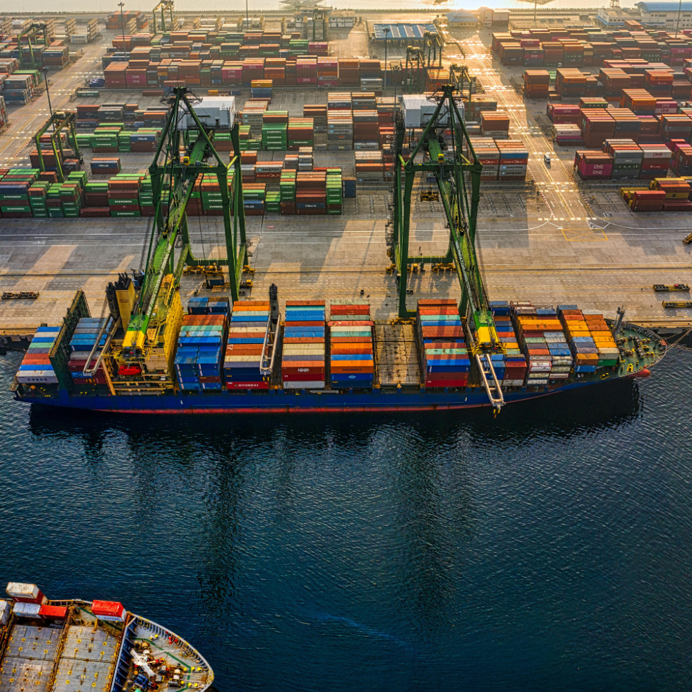 untitled design (10)